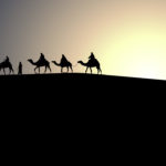 Camellos, Medio Oriente. ©Pixabay