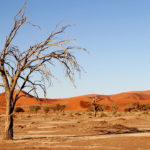 Desierto Namibia, África. ©Pixabay