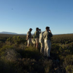 2 El equipo de Wildlife observando Themba. ©Rock Wallaby Productions 2 El equipo de Wildlife observando Themba. ©Rock Wallaby Productions