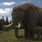 A mastodon mother and calf. Last of the Giants. © Mark MacEwen