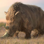 A woolly rhino. Land of the Cave Bear © Daniel Rasmussen