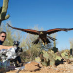 Camarógrafo Mark Payne-Gill filma el ojo de un ratón de un Harris Hawk de caza, mientras vuela. ©BBC 2014