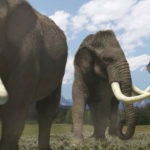 Columbian mammoths. Land Of The Sabre-Tooth © Mark MacEwen