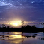 Selva, río Demerara, en Guyana. ©Pixabay