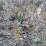 Bosque de piedra de Shilin, Yunnan, China