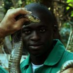 Aprendiendo sobre serpientes ©Copyright Green Films Pty(Ltd)
