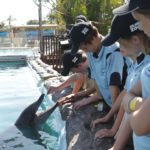 Estudiantes de Zoológico Azul con delfín