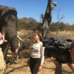 Safari épico grabando con elefante