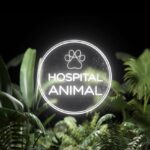 Hospital animal 5