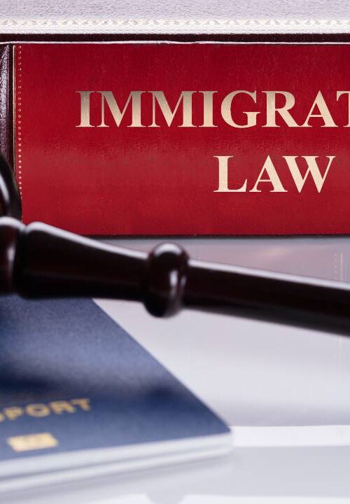 ¿Afectan las tendencias partidistas a las leyes de inmigración?