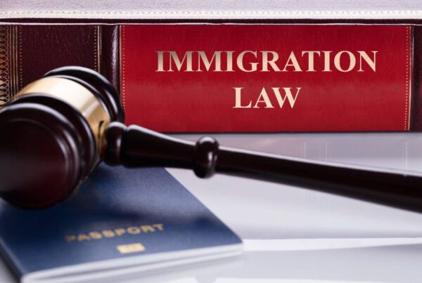 ¿Afectan las tendencias partidistas a las leyes de inmigración?